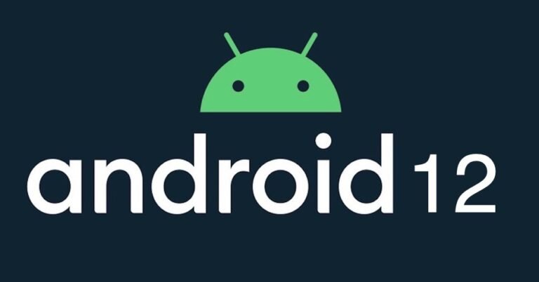 Логотип android 12 