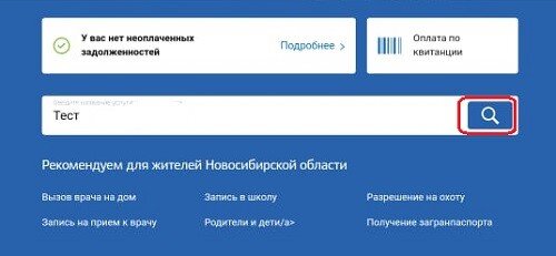 скриншот с портала https://www.gosuslugi.ru/