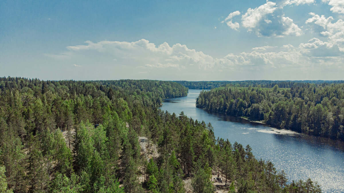 Озеро Ястрибиное, Ленинградская область