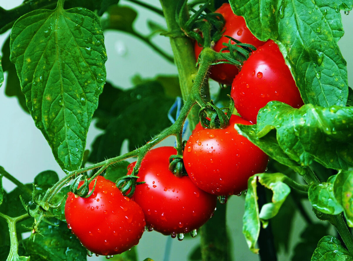 Доброго времени суток