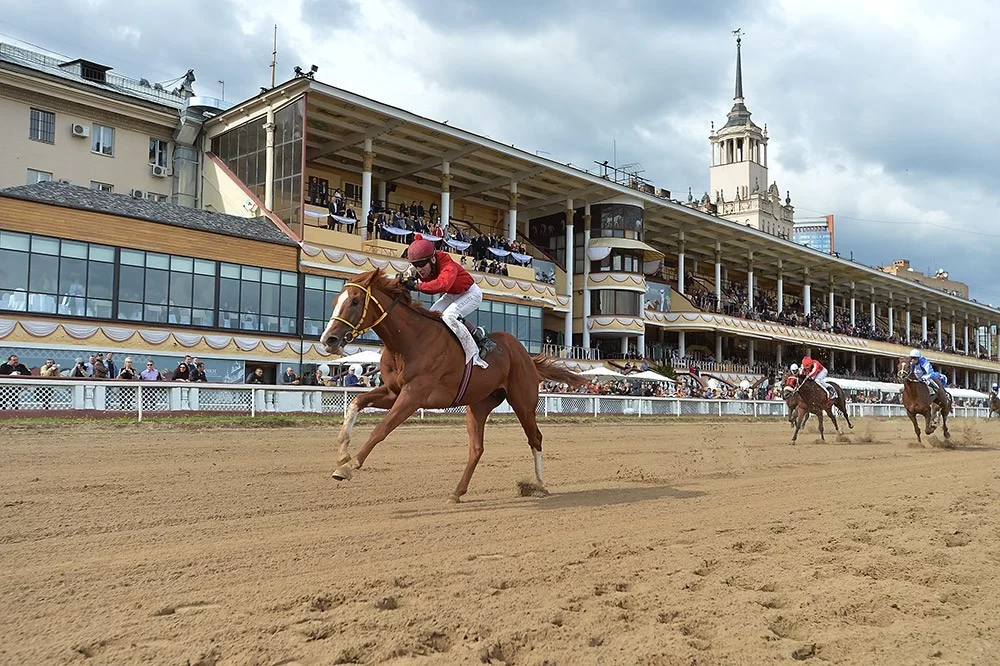 Фото: Центральный Московский ипподром