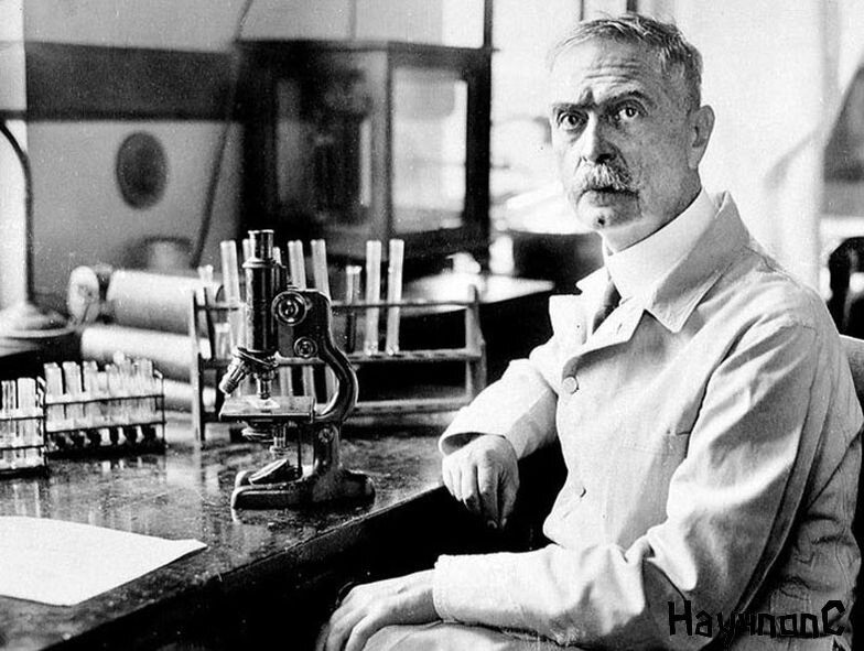 Карл Ландштайнер