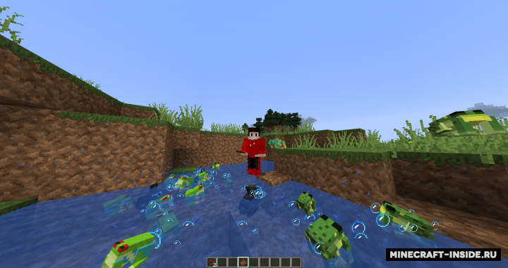 Обновление майнкрафт 1.19 Энд и болото