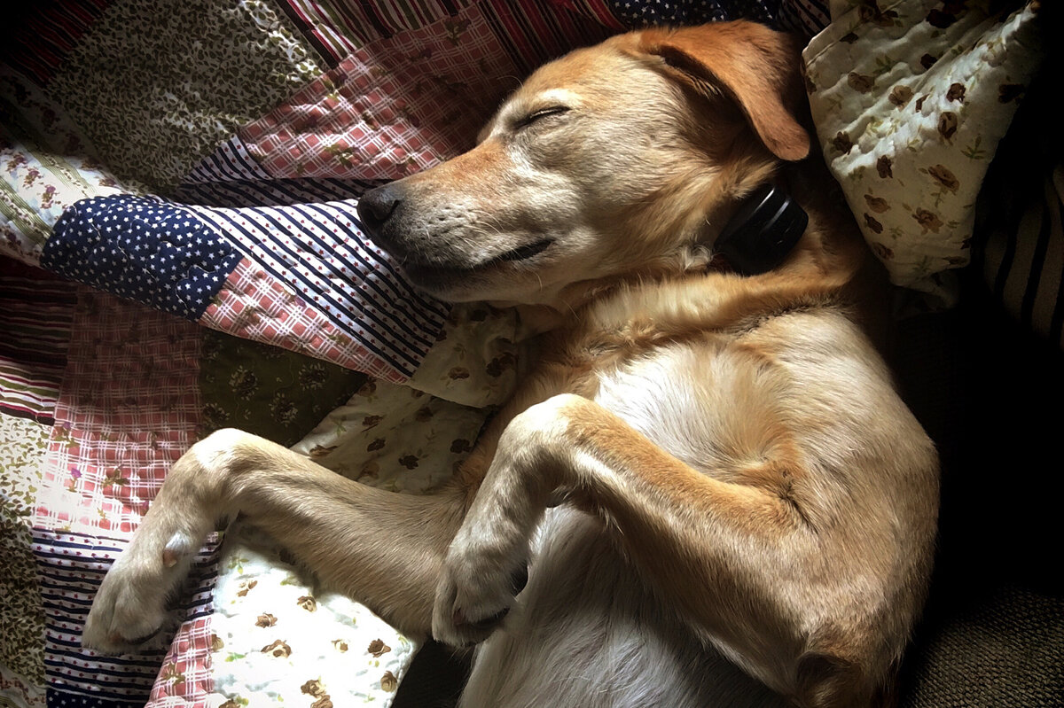 Проблемы со суставами