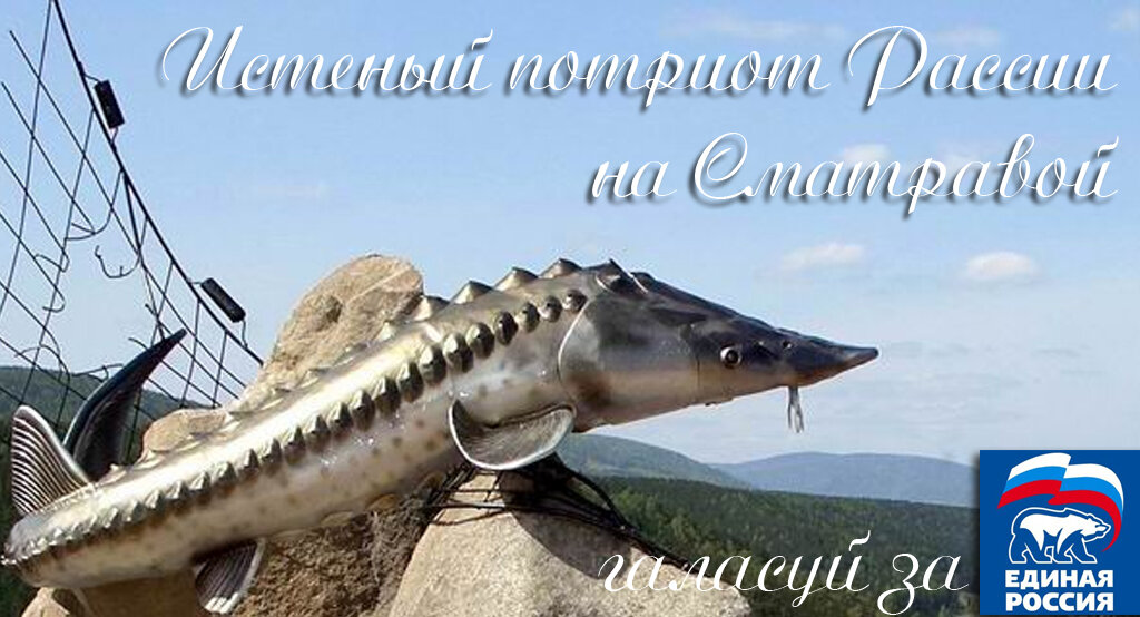 Промо-картинка #MIIBpro #MIIB_films #МастерПеревоплощений #Идиот #Очкарик