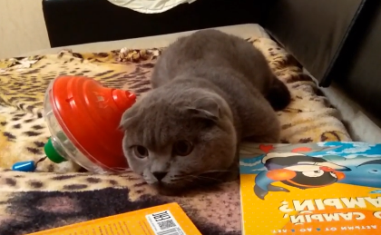 Космос тоже любитель охоты, куда ж без этого?