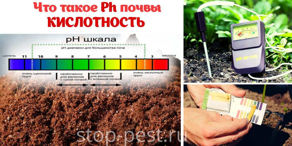 "ДОЛОМИТКА" для раскисления почвы осенью (когда и сколько вносить ...