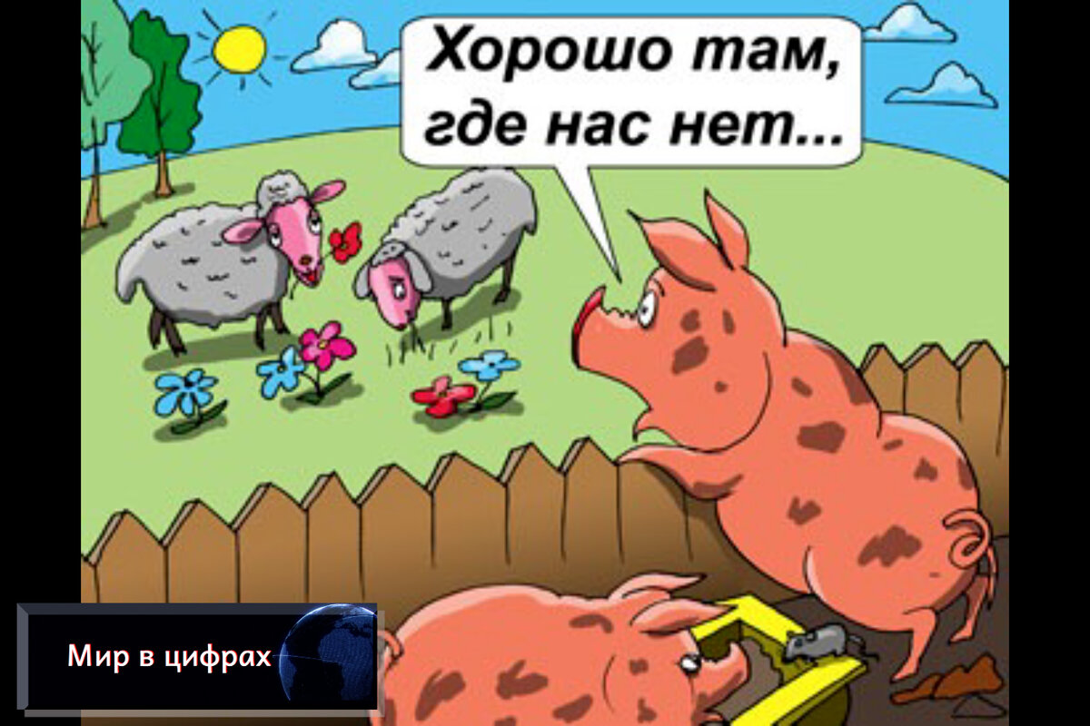 Никаких намеков, просто понравилась карикатура)))