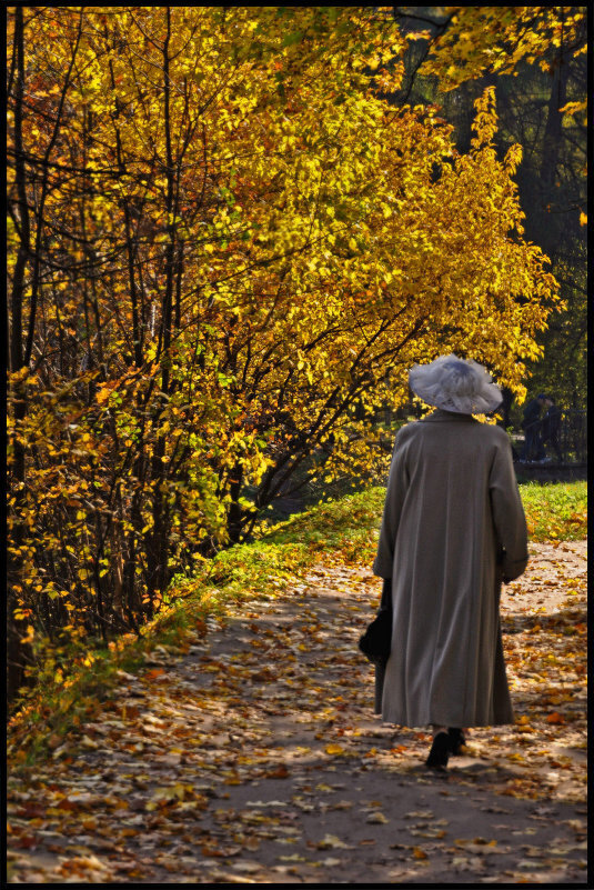 Картинка из интернета 