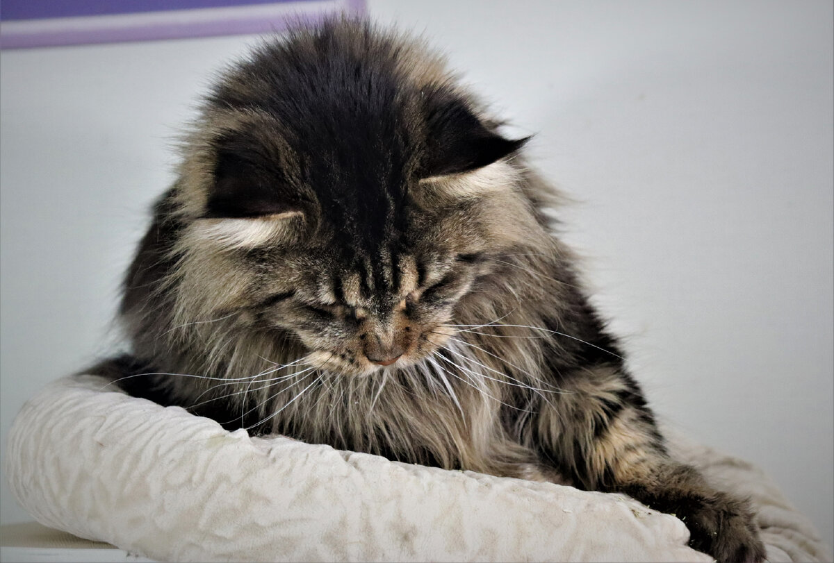 Фото из личного архива.