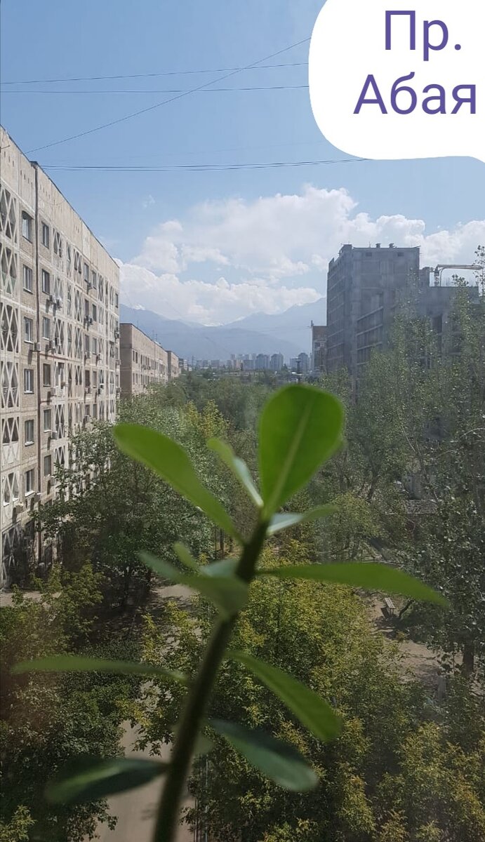 Здесь я жил в 1987 году. 