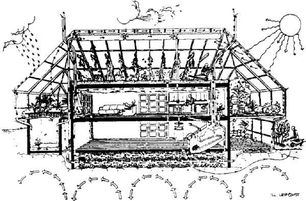 Первоначальный проект дома-теплицы Бенгта Уорна