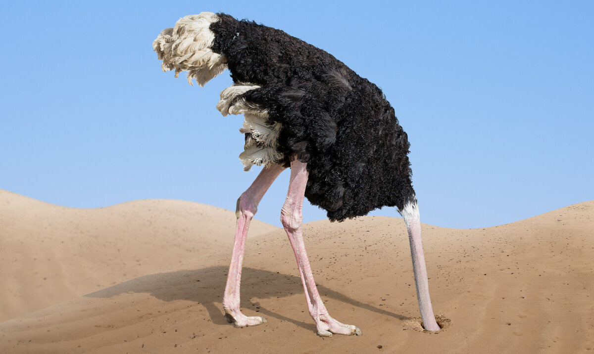 Позиция страуса ни от чего не защищает.