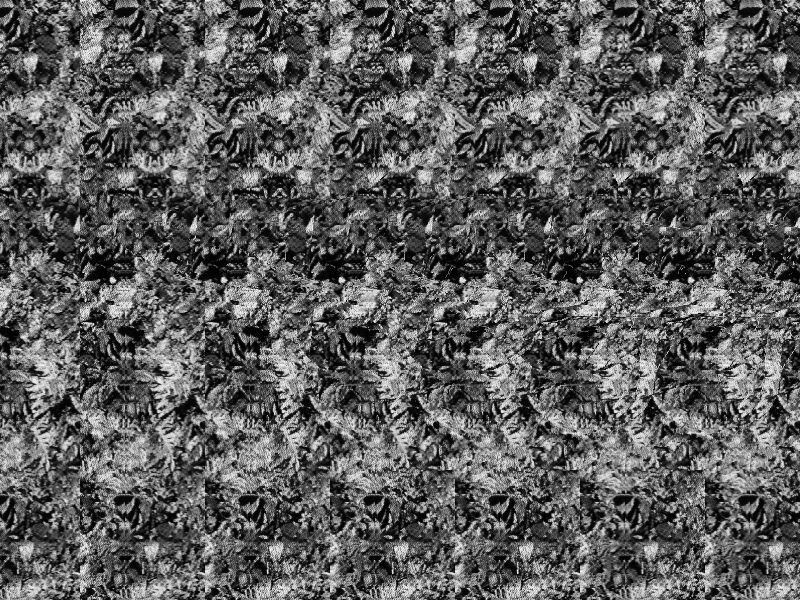 Может здесь родился чужой?