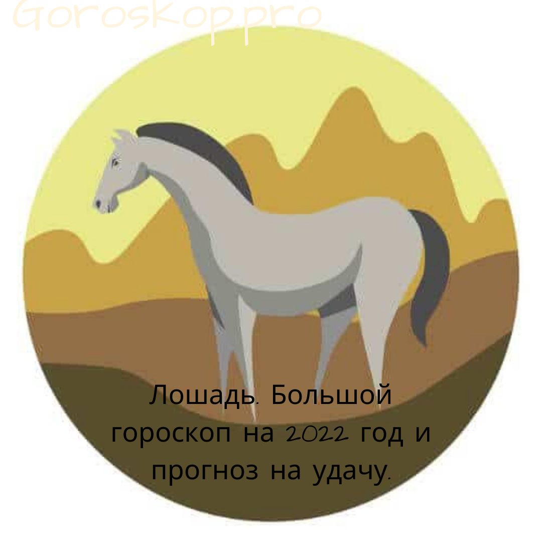 Лошадь. Большой гороскоп на 2022 год и прогноз на удачу. | Goroskop Pro |  Дзен