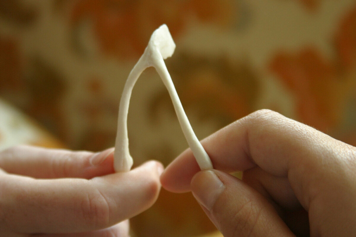 Кость удачи. Американец Кен Ахрони продавал вилочковые косточки из пластика. Чтоб вы понимали — каждый год на День Благодарения американцы готовят индейку. И затем по традиции ломают вилочковую кость: у кого в руках останется большая часть, тот, считай, поймал удачу за хвост. Но желающих много — вилочковая кость — одна. Кен Ахрони решил исправить ситуацию и наладил производство пластиковых аналогов праздничного символа. В итоге появилась компания Lucky Wishbone, бизнес которой приносит $2,5 млн. ежегодно.