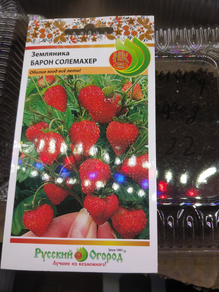 Эти семена взошли 28.02.2022