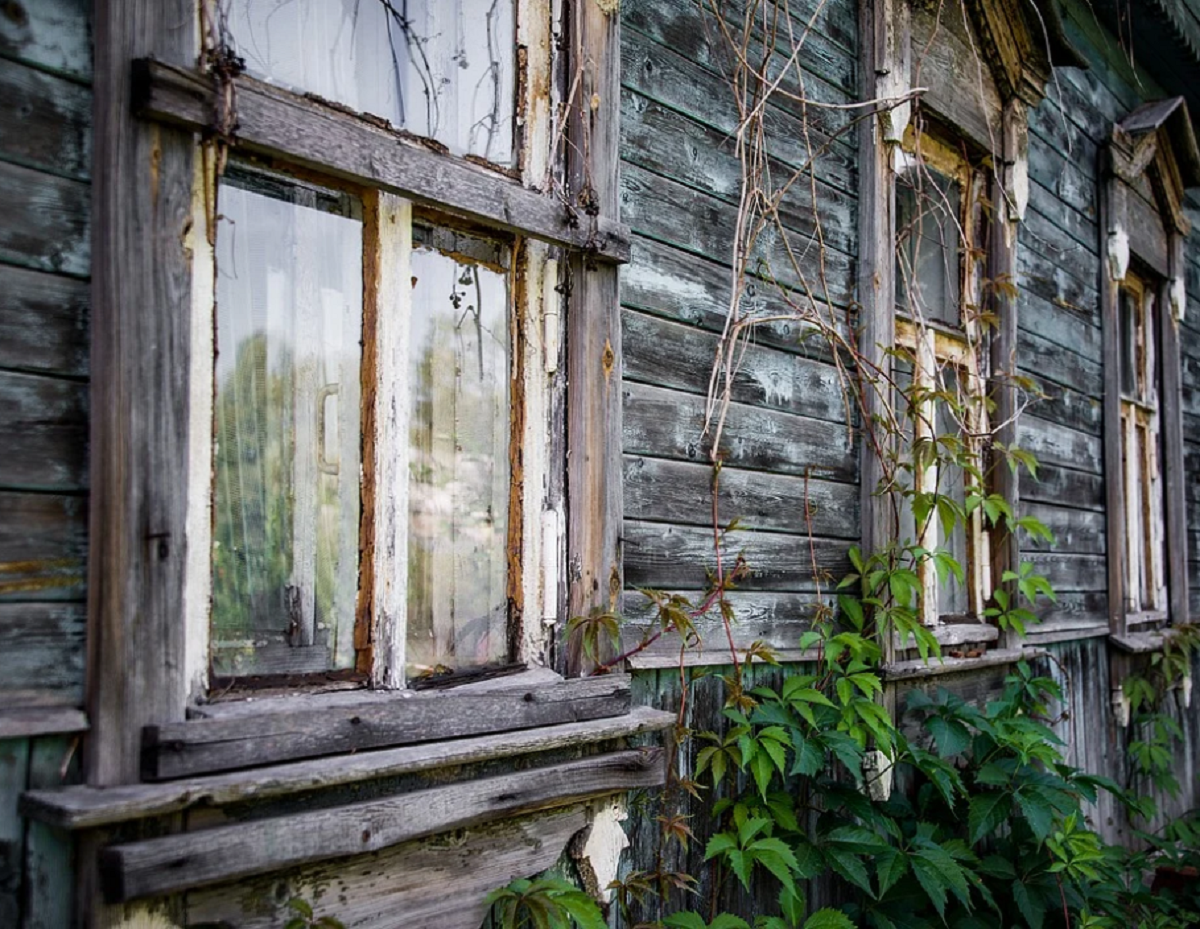 Фото: pixabay.com