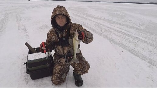 Судак в марте. Иваньковское водохранилище