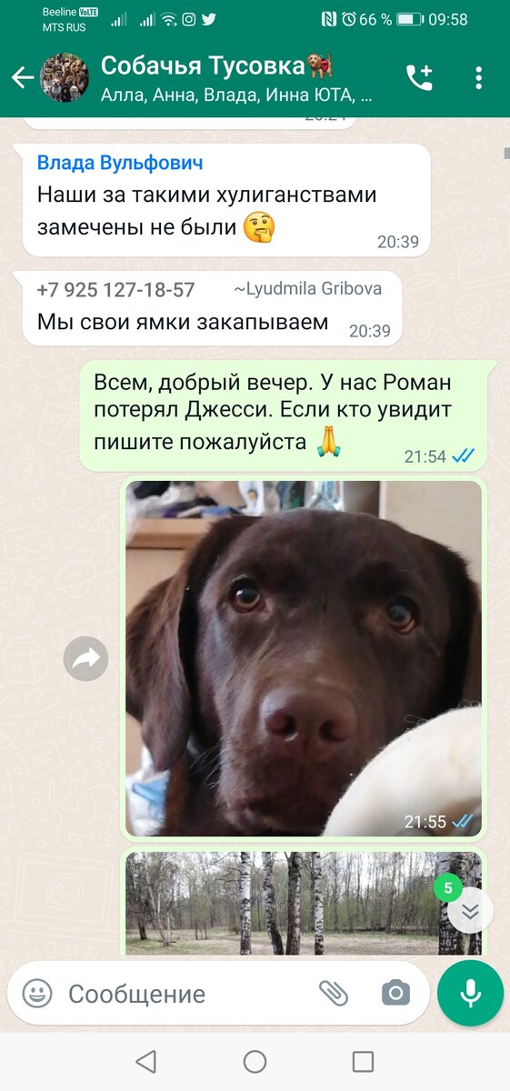 Ушёл гулять с собакой, вернулся один... 