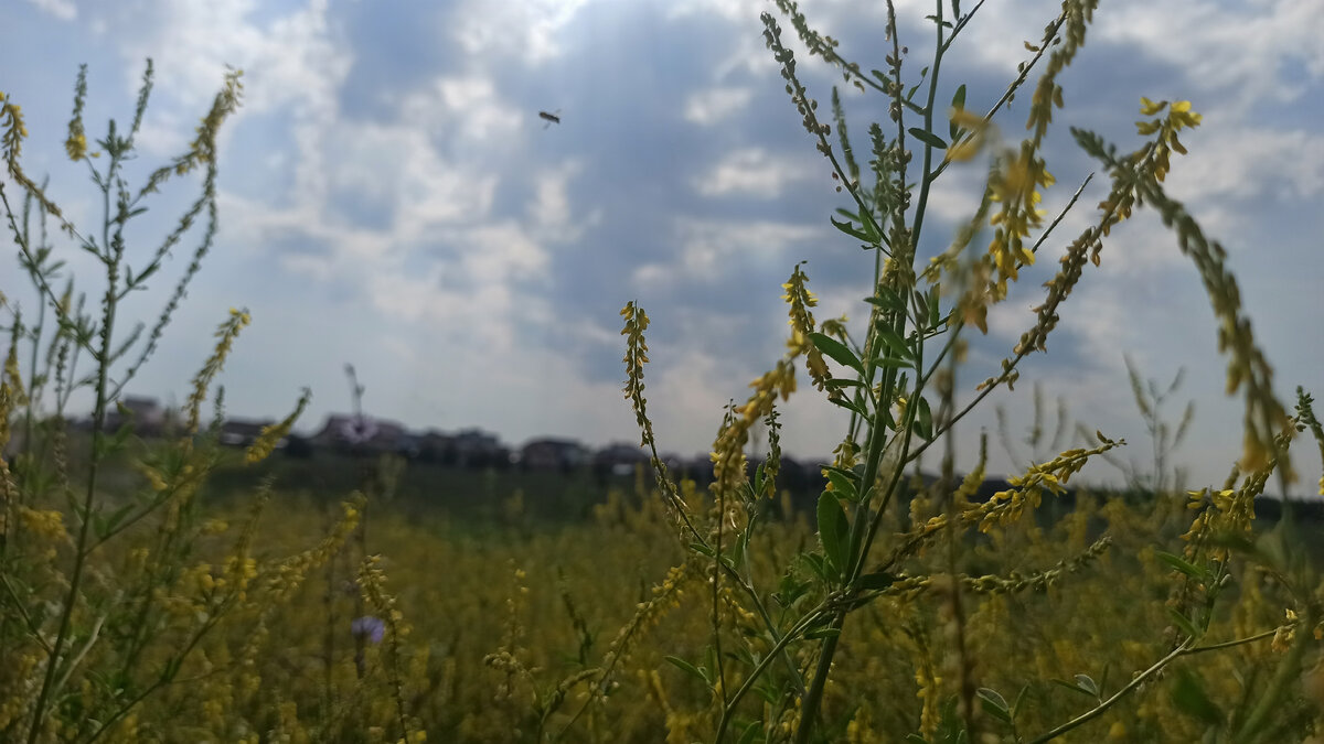 фото с прогулки