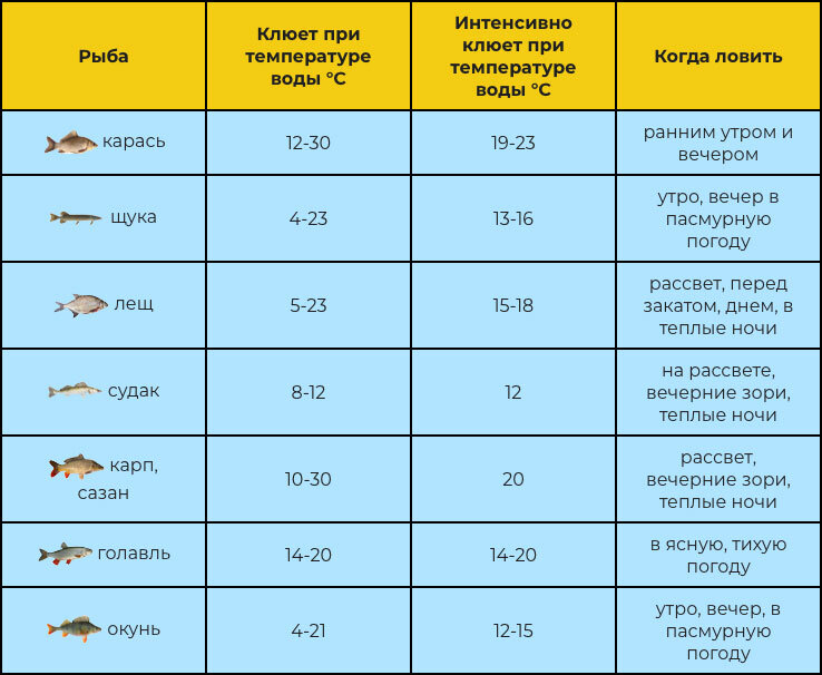 Картинка взята с сервиса Яндекс. Картинки. 