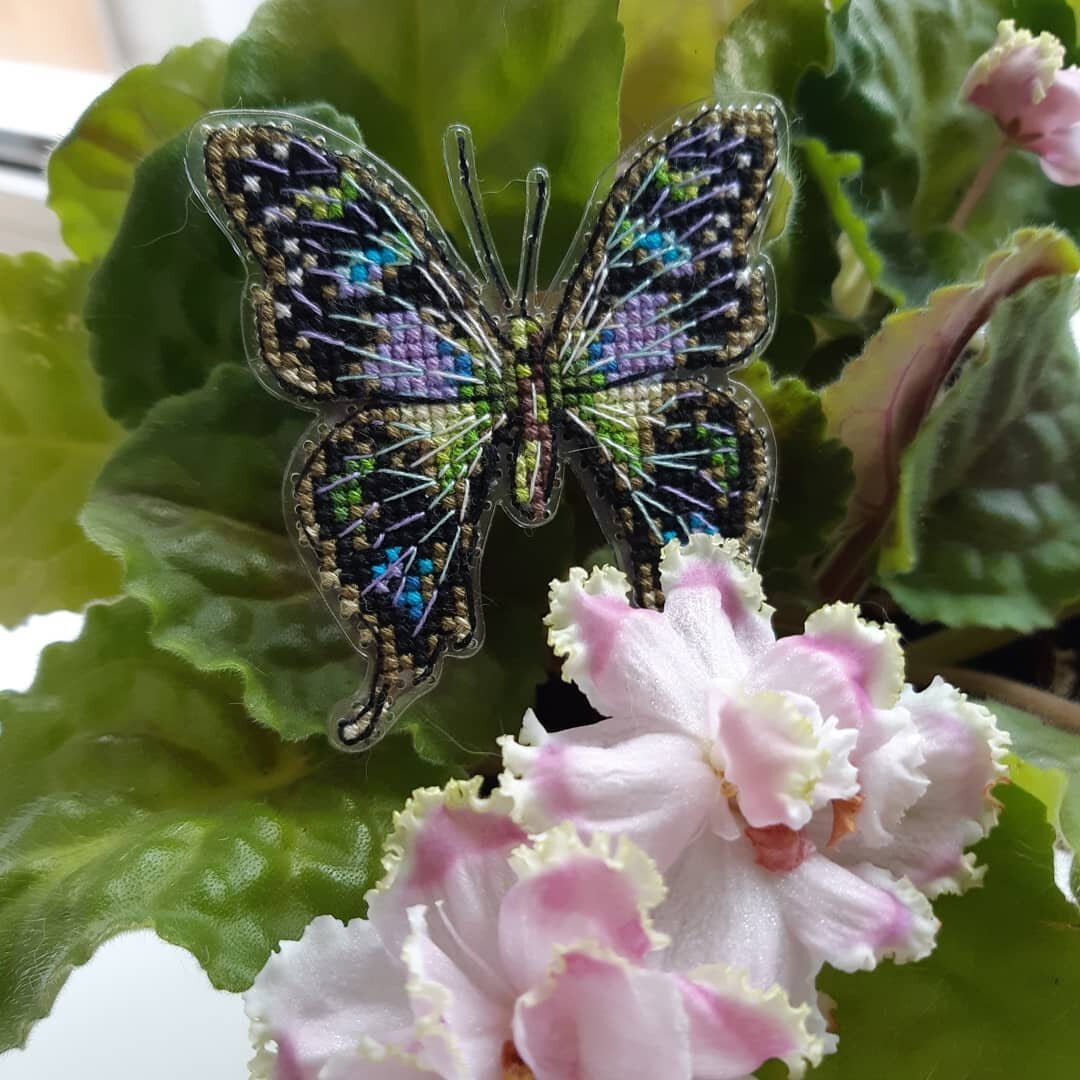 НБ-001 "Графия Веска"