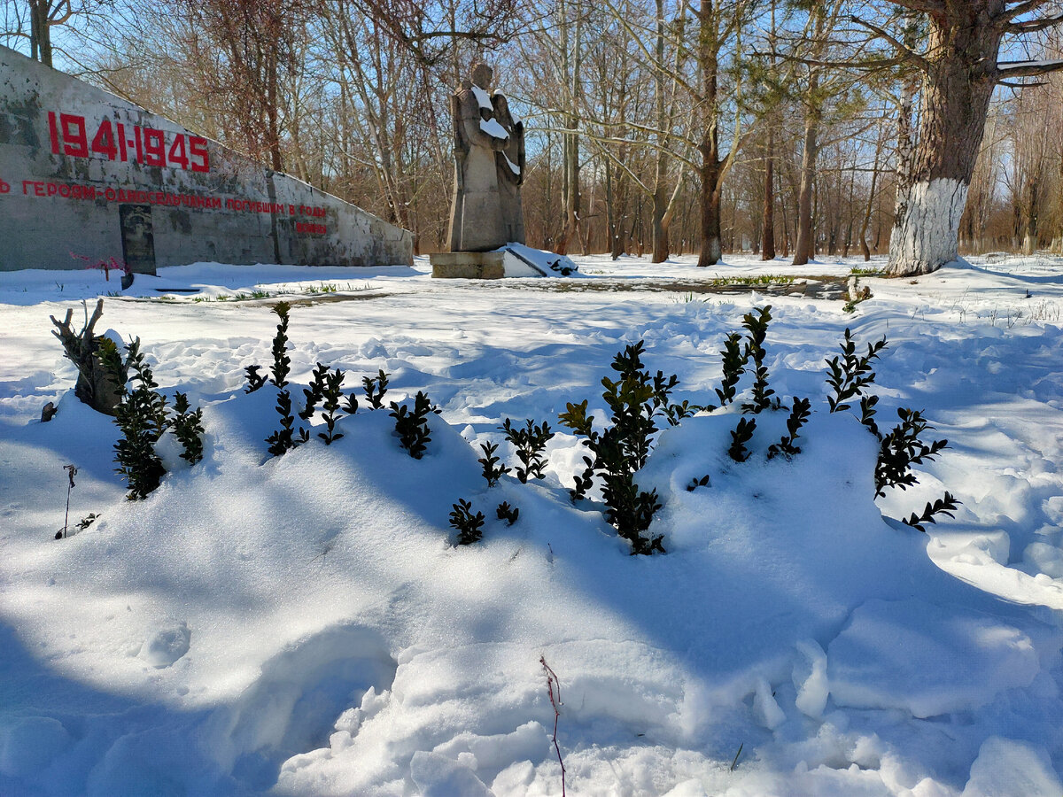 Фотография сделана автором канала