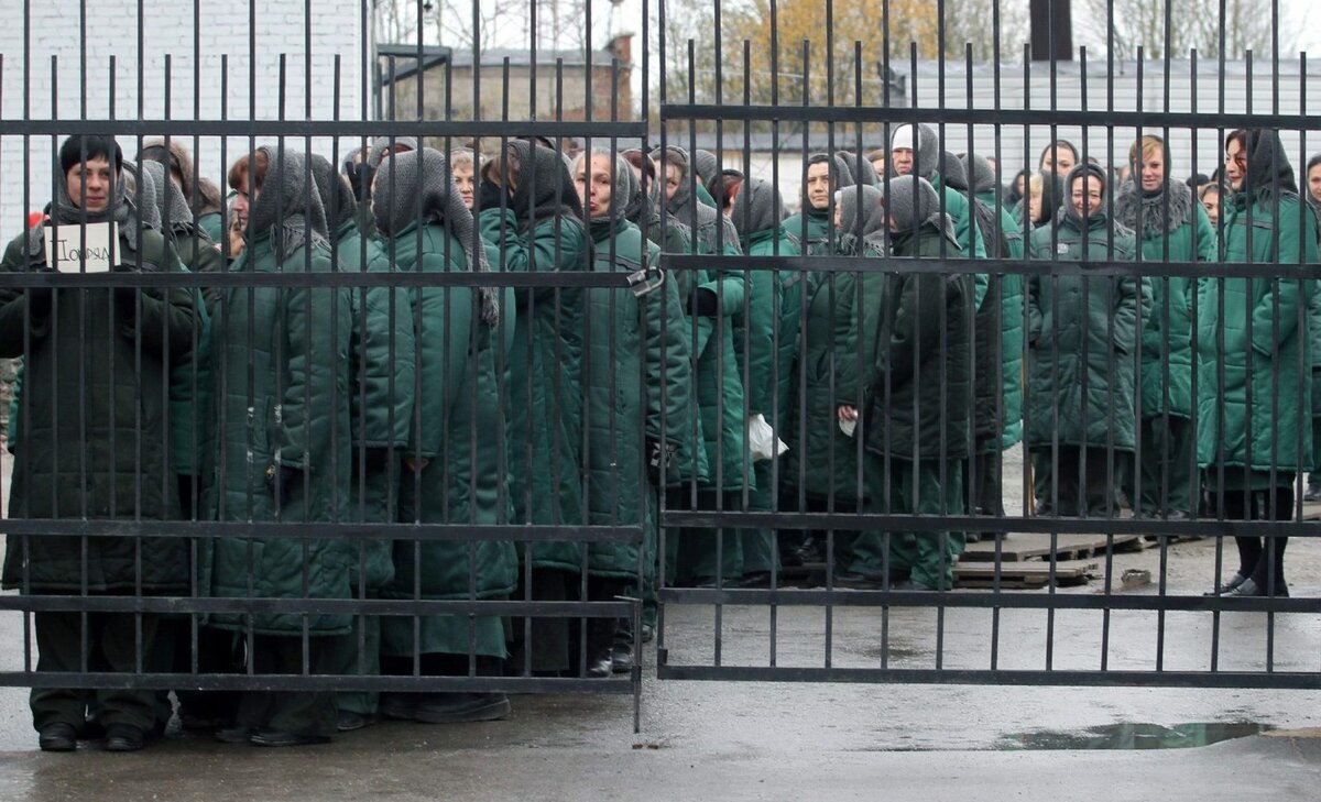 Яндекс Картинки