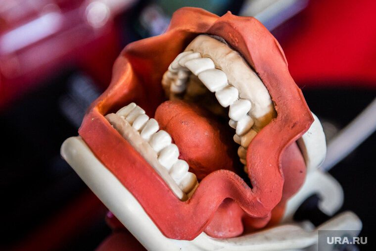 Фото Ура.Ру