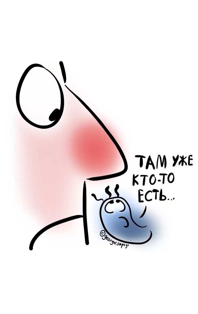 Картинка взята из свободной сети Интернет. 
