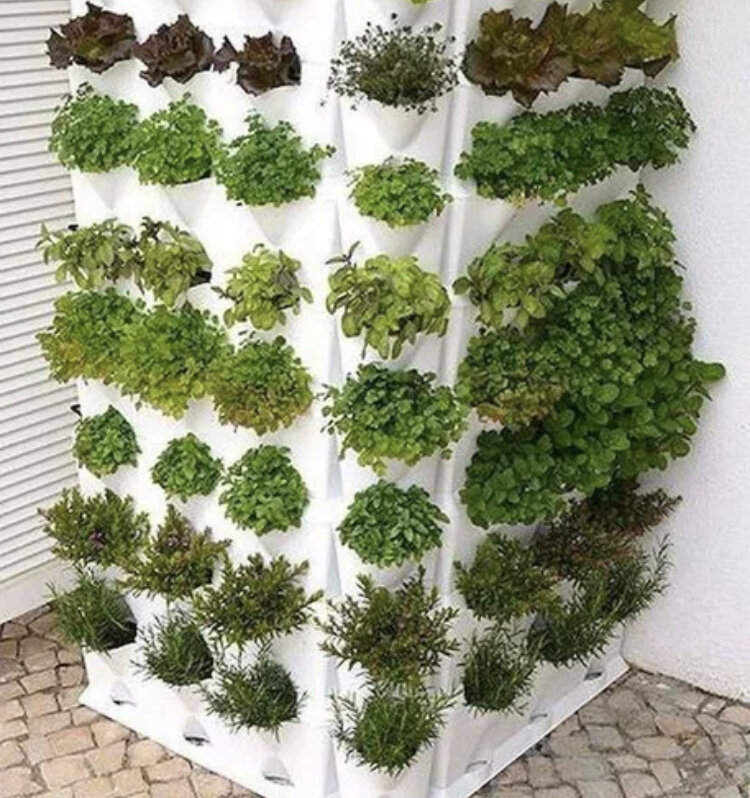 Вертикальные грядки стали настолько популярны, что уже есть модели в продаже.