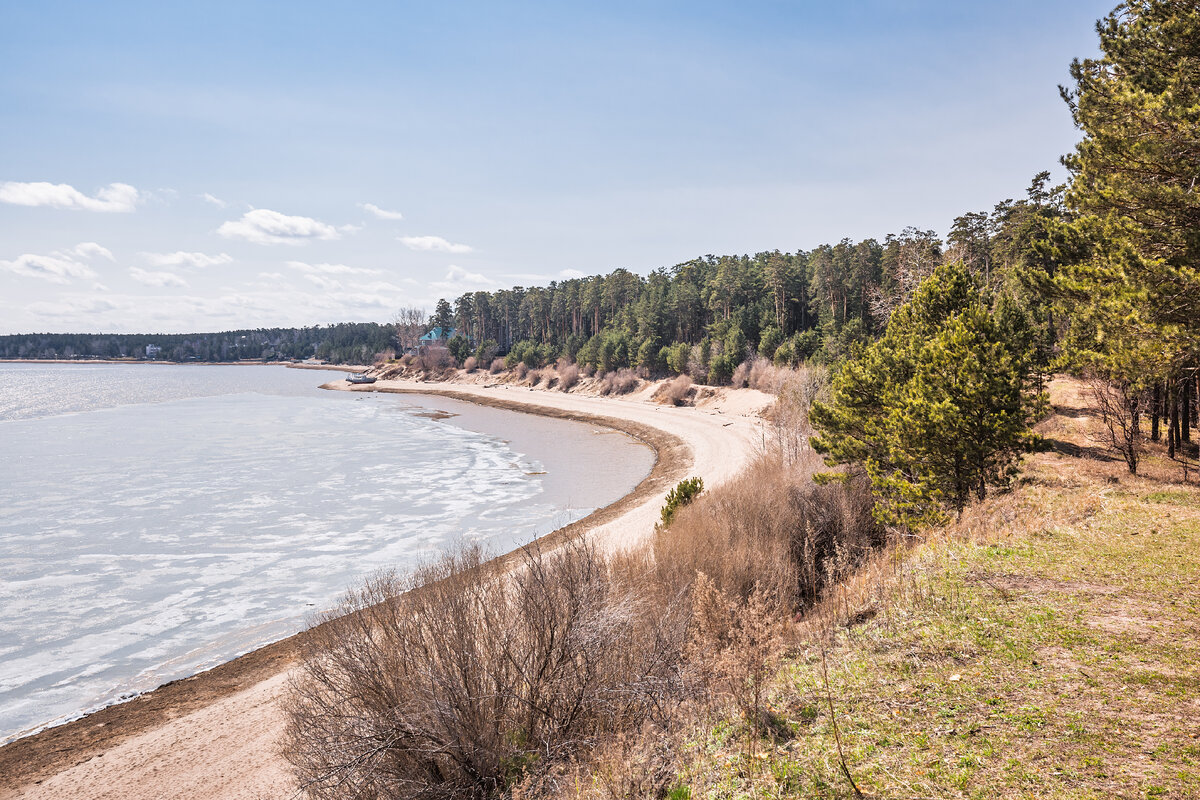 Бердская коса новосибирская область. Обское море Бердск. Бердский залив. Обской залив Бердск. Бердская коса.