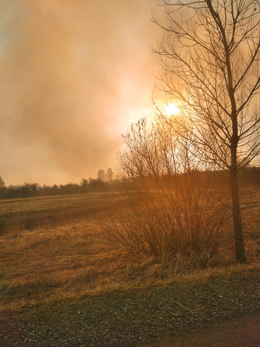 Весеннее небо