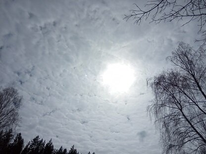 Фотография из личного архива автора