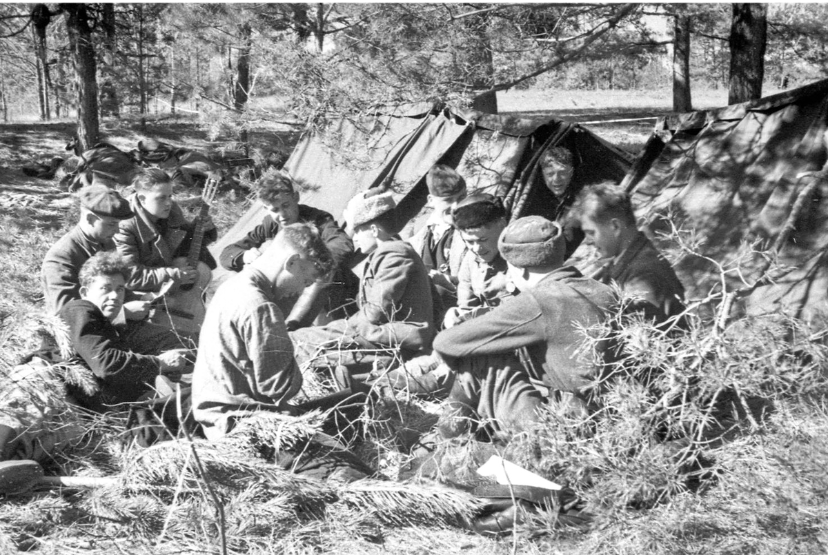 Партизаны в вов в картинках