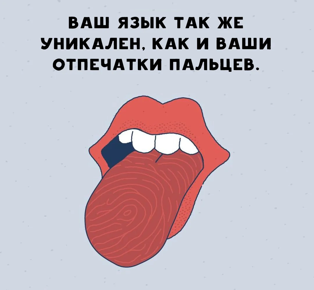 отпечаток пальца. разные отпечатки. язык отпечатков пальцев. интересные факты о языке человека. картина отпечаток папиллярных линий.