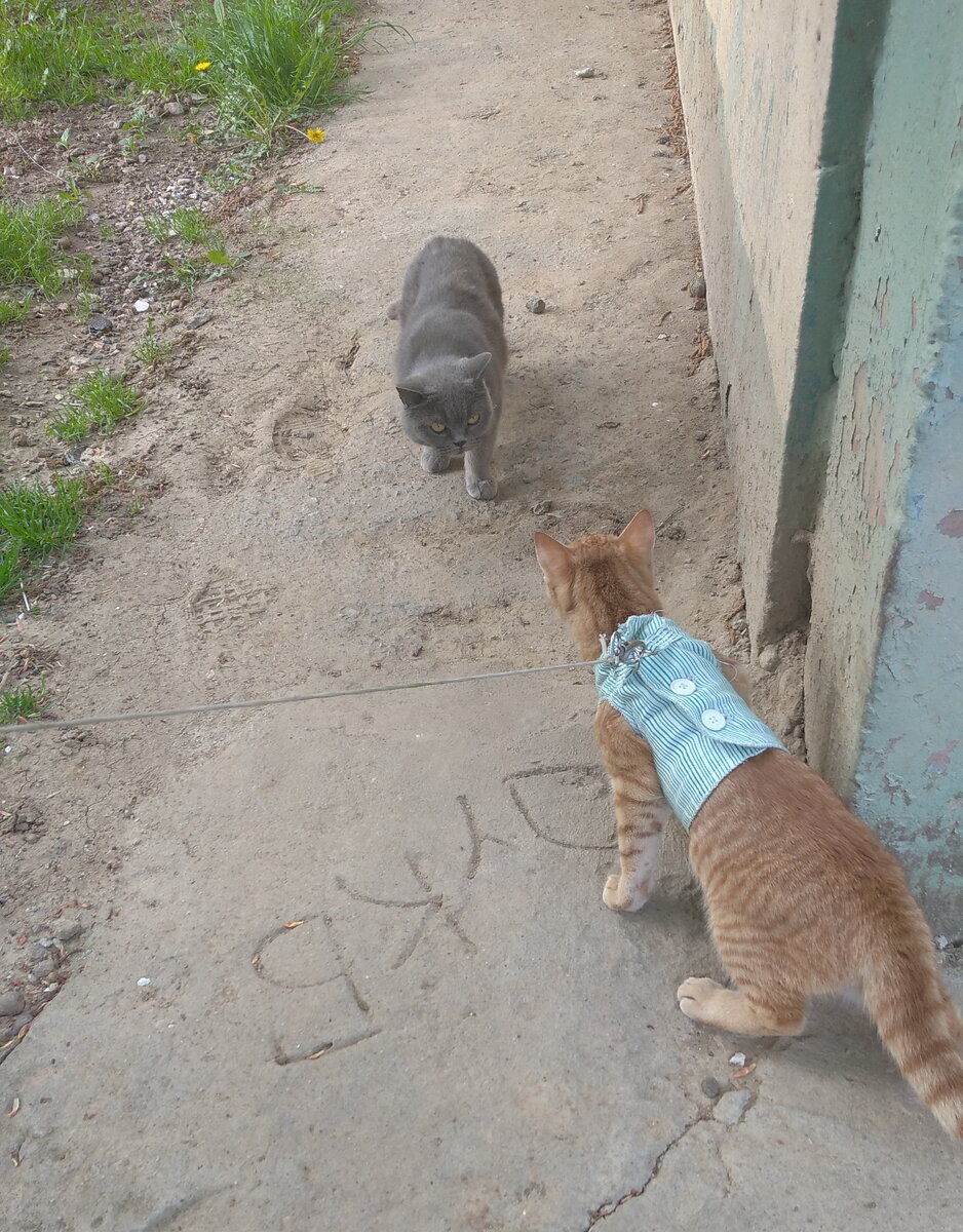 Личное   фото.