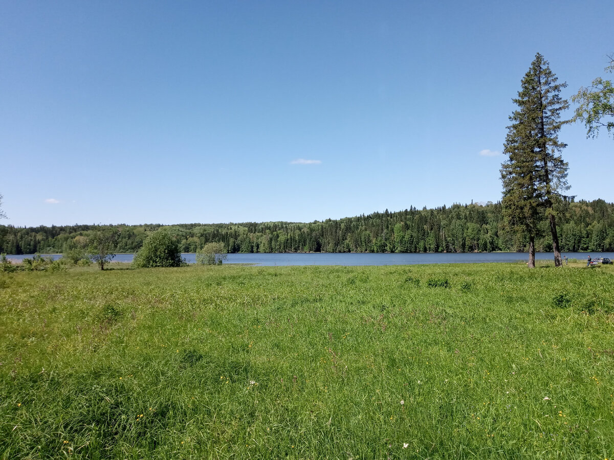 Личный архив. Мой участок