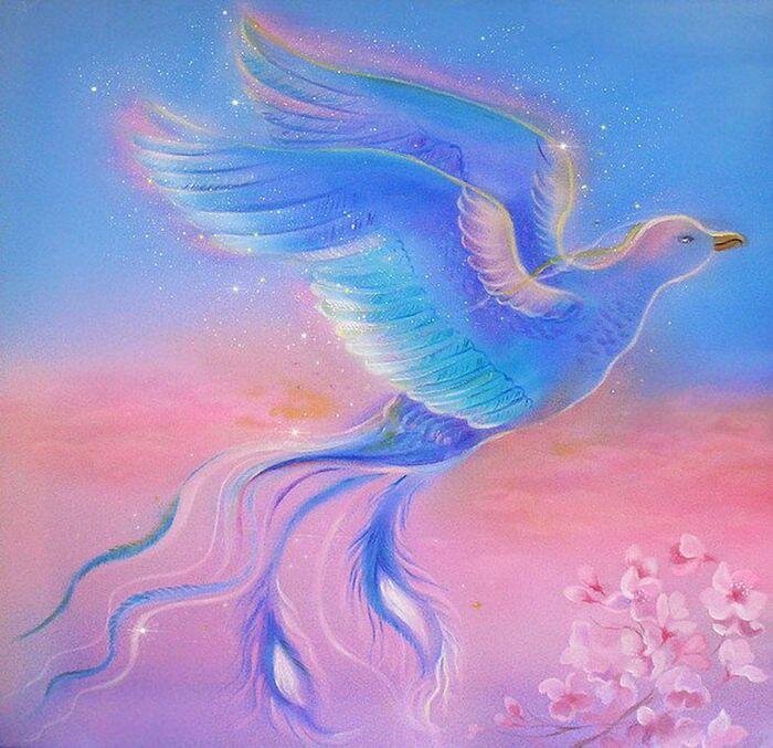 Синяя птица(фото из открытых источников)