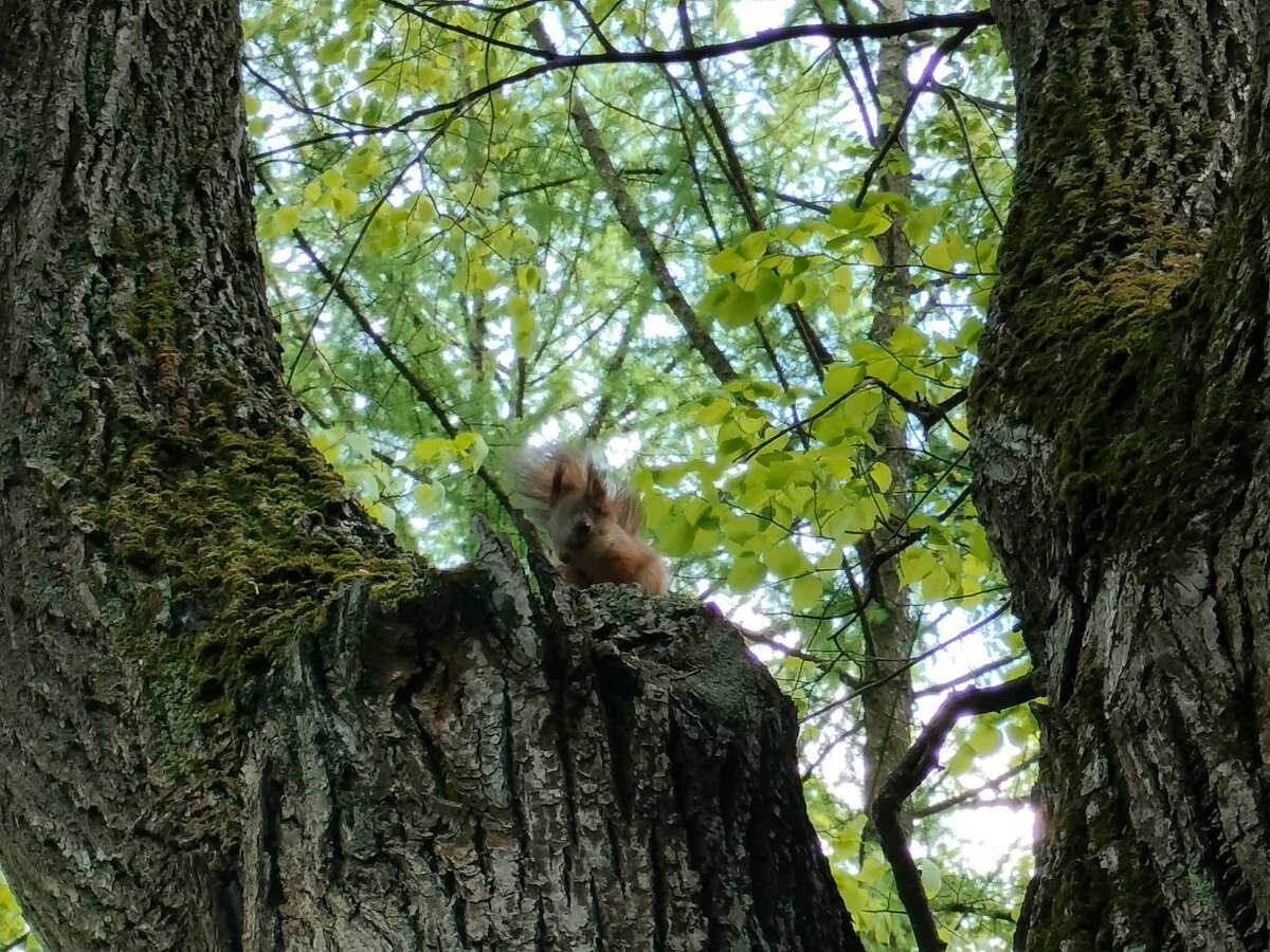 Фото из личного архива автора