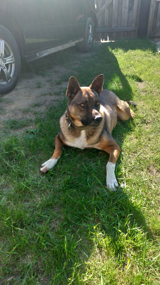 Тушка-меховушка 