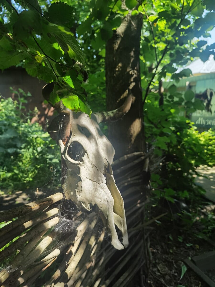 При входе в музей, расположенный на 1 этаже жилого двухэтажного деревянного дома, вас  встречает череп (хотела написать лошадиный, но нет - коровий) и гостеприимный баннер, рекомендующий не заходить на выставку нечистой силы людям, считающим себя особо впечатлительными (листайте галерею). 
