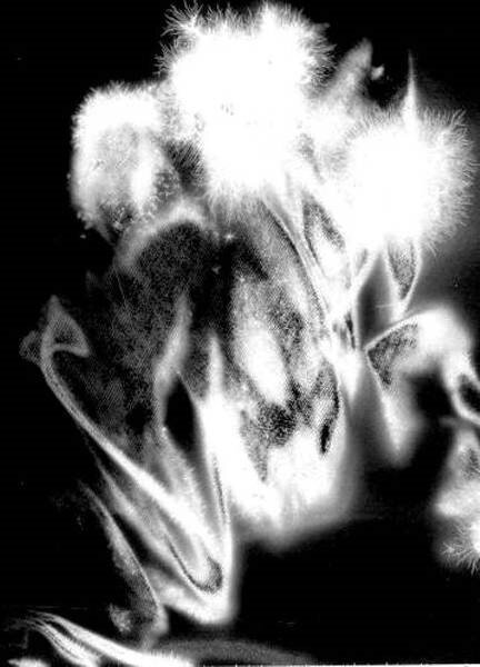 девочка Алла. 2 года 6 мес. В поведении ребёнка- агрессия. На снимке слева видна сущность рептилоидная. Подселенец...
