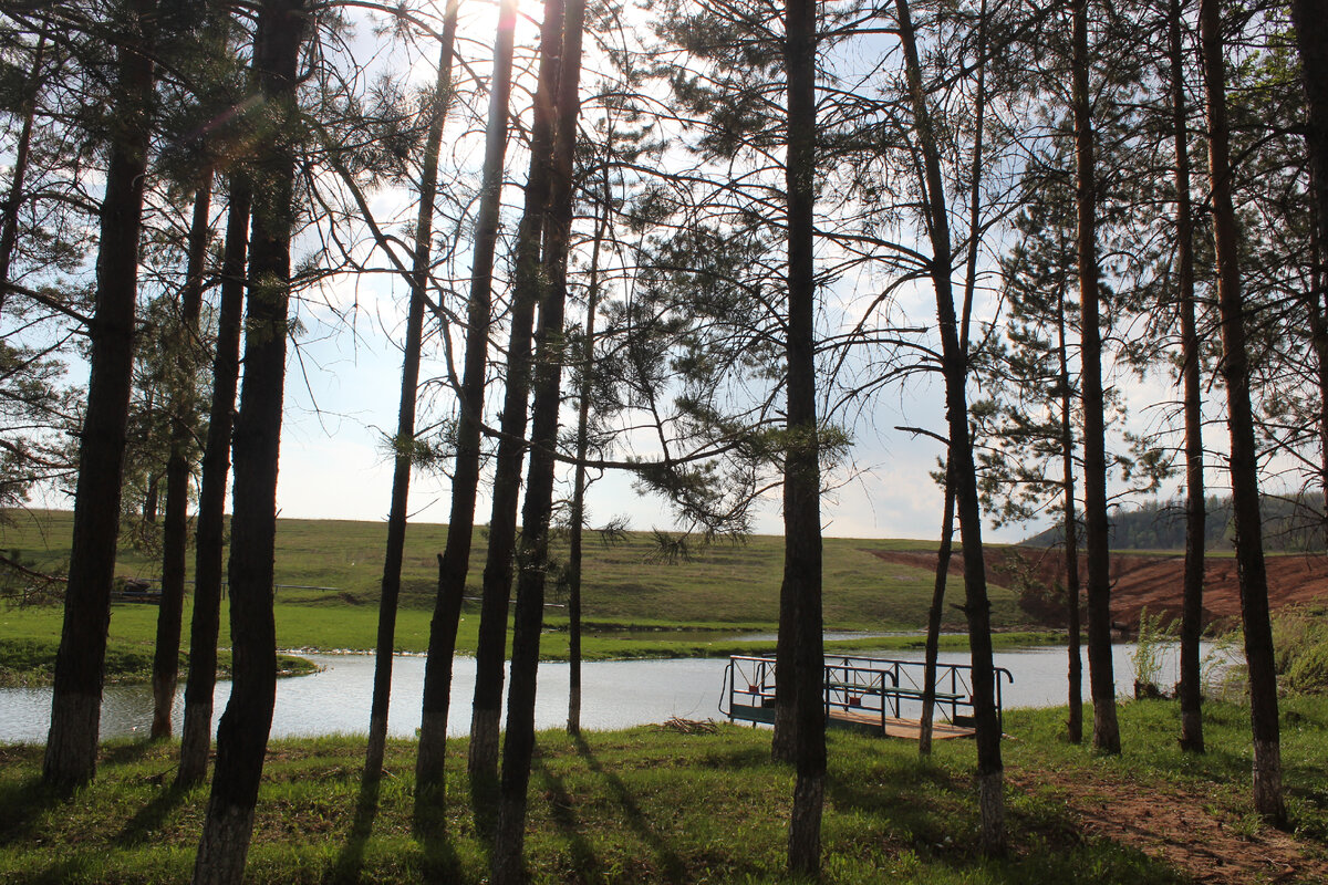 Территория вокруг родника "Аулия". Фото: Л.Габдрафикова.