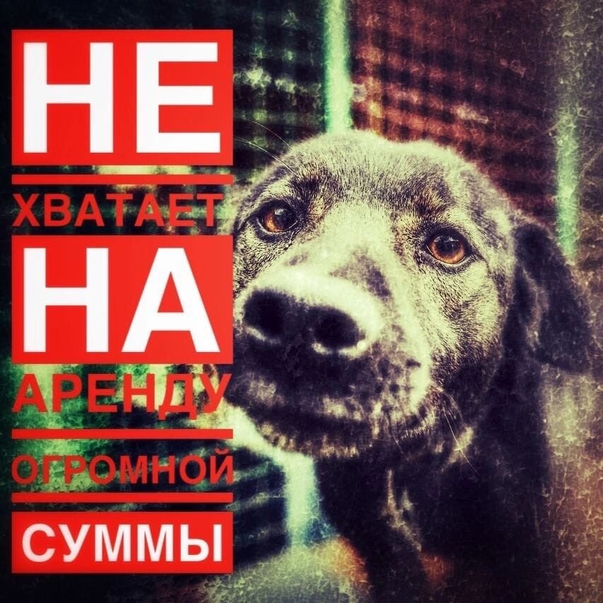 Нас выселяют 