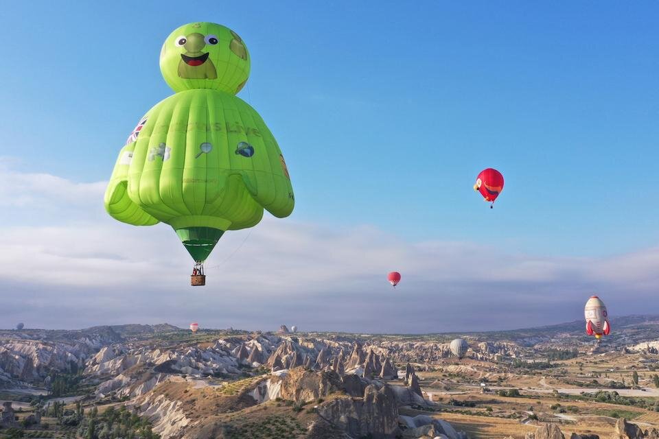 https://www.trtworld.com/turkey/in-pictures-hot-air-balloon-fest-fills-cappadocia-sky-with-colours-59039