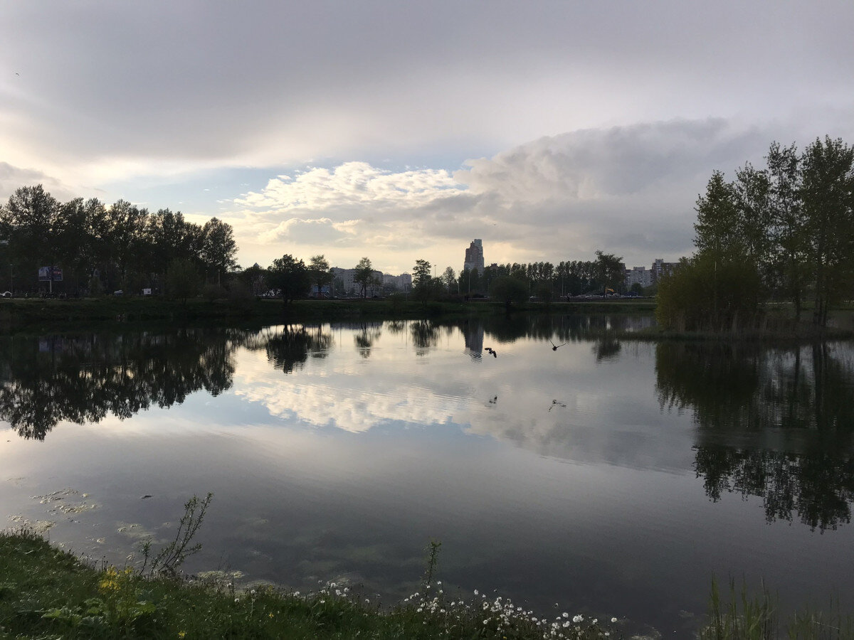 
В спокойной воде отражается небо. Фото рядом с домом