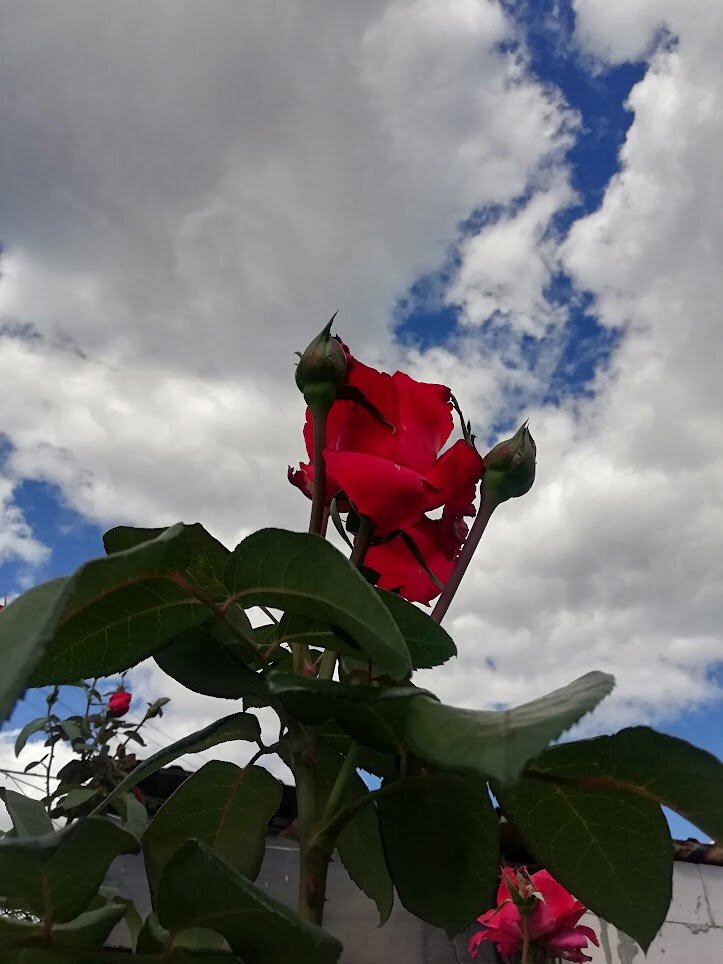 Фото из личного архива