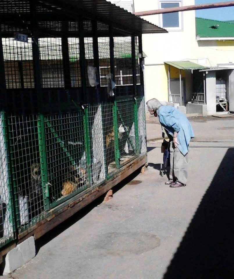 Раньше я встречал ее в приюте регулярно, но в последнее время не вижу ее...